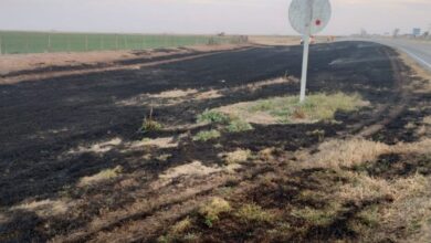 Photo of Luque: detuvieron a un hombre por provocar un incendio al costado de la ruta