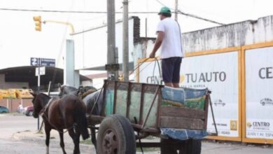 Photo of La UNC dará capacitaciones a carreros