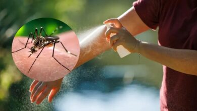 Photo of Anmat prohibió el uso y la venta de un repelente para mosquitos