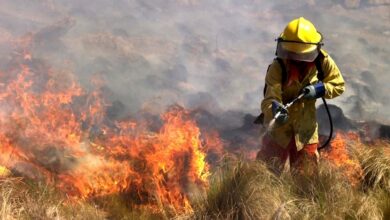 Photo of Feroz incendio en Córdoba, cerca de El Tropezón y varios focos en la provincia