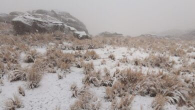 Photo of Córdoba, en «alerta amarillo»: dónde podría nevar este viernes