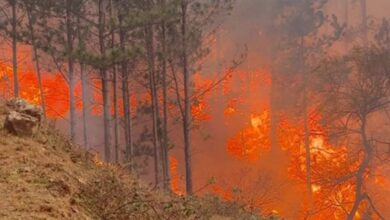 Photo of Detuvieron a un hombre por el voraz incendio en Calamuchita