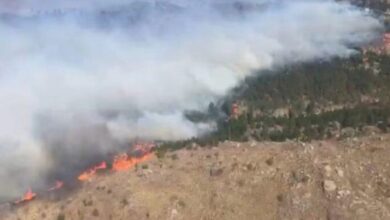 Photo of Otro detenido: provocó un incendio en el acceso norte, a orillas del río Ctalamuchita