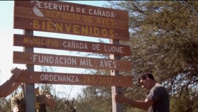 Photo of Educar y proteger, valores de la Reserva Natural de Cañada de Luque