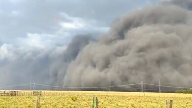 Photo of Alerta por ráfagas de viento y marcado ascenso de la temperatura