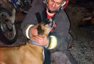 Photo of Bomberos rescataron a un perro durante el incendio de una vivienda