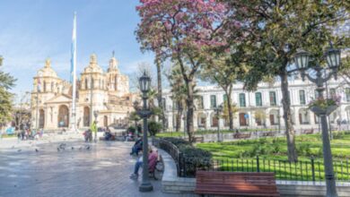 Photo of Cultura en Córdoba: actividades imperdibles esta semana