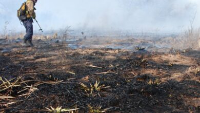 Photo of Alivio en Córdoba: no se registran incendios en la Provincia