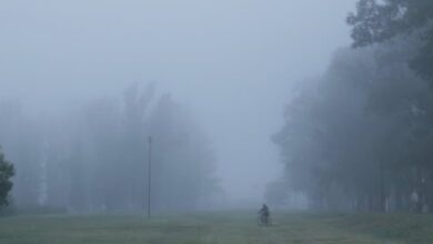 Photo of Cine y memoria: «Tras un manto de neblinas» en el Festival de Buenos Aires