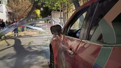 Photo of Madrugada de vientos fuertes: se registraron árboles y postes caídos en Córdoba