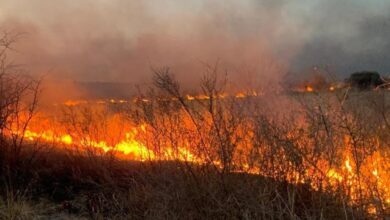 Photo of Lunes con 16 incendios y viviendas quemadas: hay tres focos activos en Córdoba