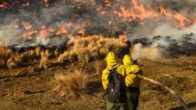 Photo of Jornadas con riesgo «extremo» por incendios en la provincia de Córdoba