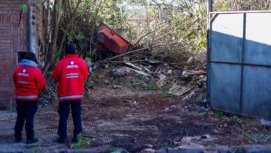 Photo of Peligro de dengue: cómo denunciar baldíos que pueden ser criaderos de mosquitos