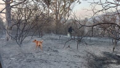 Photo of «Zafamos de milagro»: la angustia de las familias por los incendios en Punilla