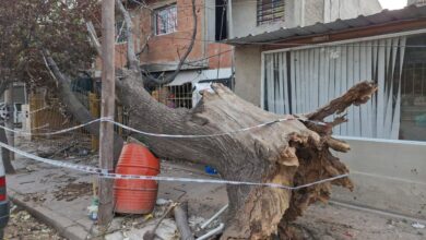 Photo of Fuertes vientos en Córdoba: cayó un árbol y destruyó el ingreso de una casa