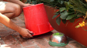 Photo of ALUMNOS DE COLEGIOS SECUNDARIOS LIDERAN OPERATIVO CONTRA EL DENGUE EN LAS VARILLAS