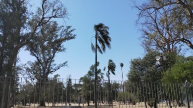 Photo of Alerta temprana: vuelve el viento norte y se eleva el mercurio en Córdoba