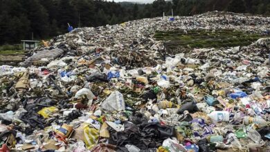 Photo of California demanda a Exxon por décadas de engaños sobre el reciclado de plásticos