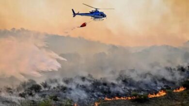 Photo of Sequía, crisis hídrica e incendios: las consecuencias que enfrenta Córdoba