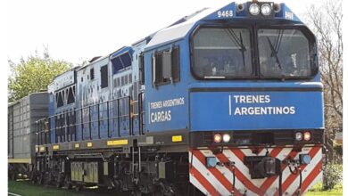 Photo of Despiden a 1388 empleados de una empresa subsidiaria de Trenes Argentinos