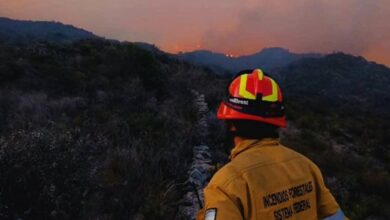 Photo of Incendios en Córdoba: luchan para que el fuego no baje la ladera en Chancaní