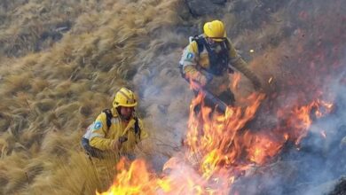 Photo of Diputados declaró la emergencia por los incendios en Córdoba