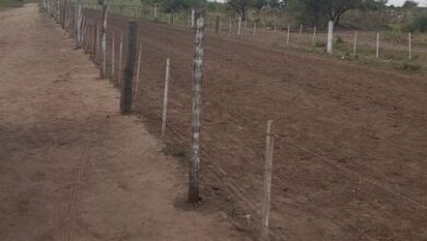 Photo of La joven embestida por un caballo sigue en estado crítico