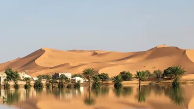 Photo of Insólito video: el desierto de Sahara inundado