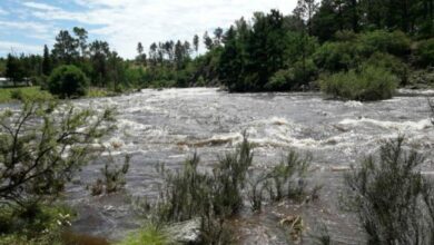 Photo of Lluvias y ríos: recomendaciones para tener en cuenta frente a las crecidas