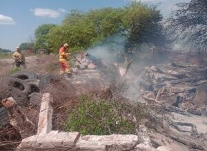 Photo of INCENDIO DE PASTIZALES Y BASURA A LA VERA DE LA RUTA PROVINCIAL 13