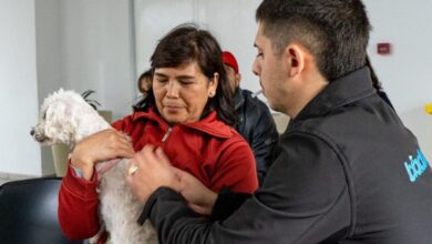 Photo of Vacunación gratuita contra la rabia a perros y gatos en Córdoba