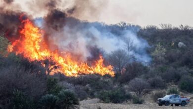 Photo of Tres años de prisión para el responsable del incendio forestal en el paraje Buena Vista de Salsacate