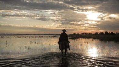 Photo of Mariano Llinás regresa con «Popular tradición de esta tierra» en Córdoba