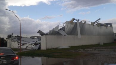 Photo of La Playosa: árboles caídos y otros daños por las fuertes ráfagas registradas