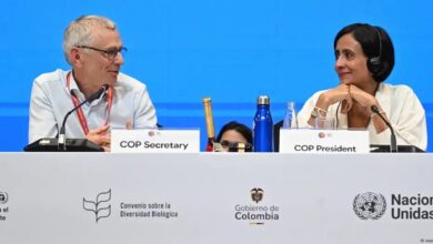 Photo of La COP16 finalizó sin que los países ricos acepten financiar el cuidado de la naturaleza