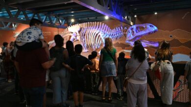 Photo of Visitas guiadas en Plaza Cielo Tierra: un encuentro con la ciencia y la naturaleza