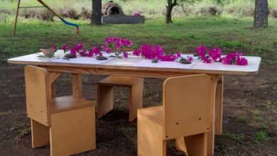 Photo of Encuentros familiares en La Granja: diversión y aprendizaje para todos