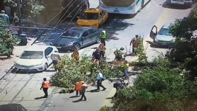 Photo of Un árbol cayó sobre avenida General Paz, en pleno centro de Córdoba: un herido