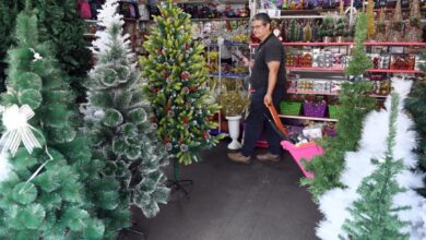 Photo of 8 de diciembre: cuánto cuesta armar el arbolito de Navidad este año