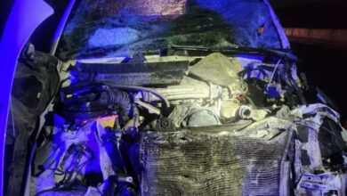 Photo of Un patrullero chocó dos búfalos sueltos en la nueva autovía Punilla