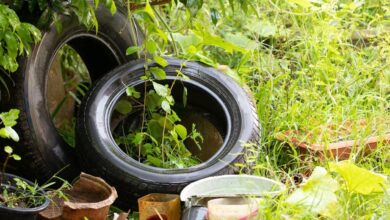 Photo of Córdoba contra el dengue: cronograma semanal de descacharreo, barrio por barrio