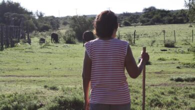 Photo of Córdoba y sus seres míticos: un viaje a través de la oralidad