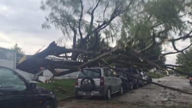 Photo of Destrozos por tormentas en todo el sur de Córdoba: caída de árboles y voladura de techos