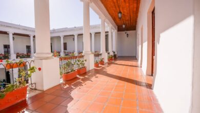 Photo of Patios cordobeses: arte, cultura y tradición en la temporada navideña