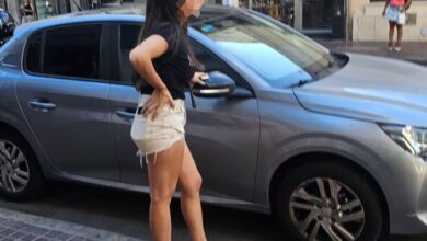 Photo of Dejó a su perro encerrado en el auto por más de 7 horas: el animal murió