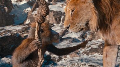 Photo of «Mufasa» y «Atrapa almas»: las películas que marcan la cartelera cordobesa