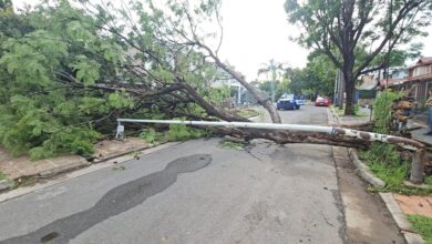 Photo of Árboles caídos y calles cortadas: las consecuencias de la tormenta en Córdoba