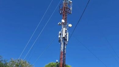 Photo of Córdoba: trabajaba en una antena, lo picaron las abejas y cayó al vacío