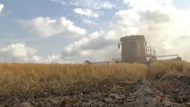 Photo of Baja de retenciones: el campo marcó que es «una buena señal», pero «no alcanza»