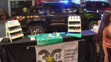 Photo of Córdoba: críticas a operativo «antinarcotráfico» en festival de Cannabis medicinal